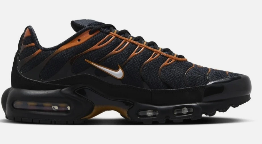 Size 10- Nike Air Max Plus "Dark Obsidian Monarch" (No Box)